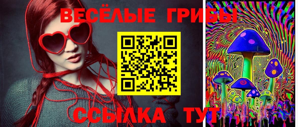 Грязи  Галлюциногенные грибы прущие грибы  Вход с VPN 